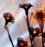 Black Rose Fairy Stem Light_sml.jpg